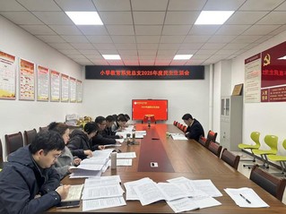 小学教育系党总支召开2025年...