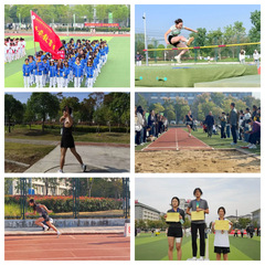 赛场逐梦展锋芒-学前教育系在第...